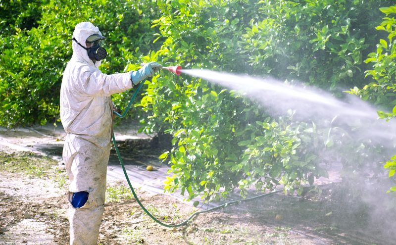 Roach Fumigation in Woodbridge, VA
