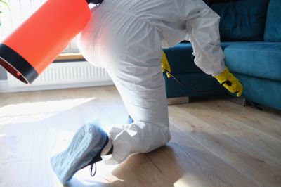 Residential Fumigation in Toledo, OH