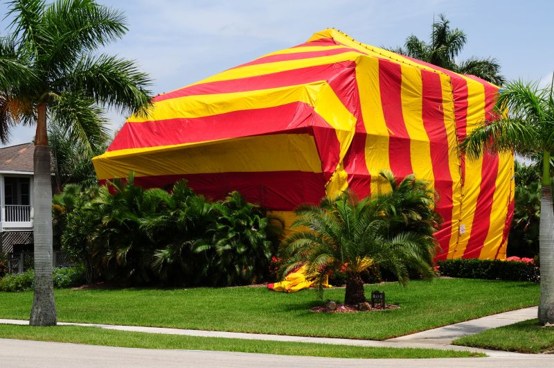 Termite Tenting in Fort Collins, CO